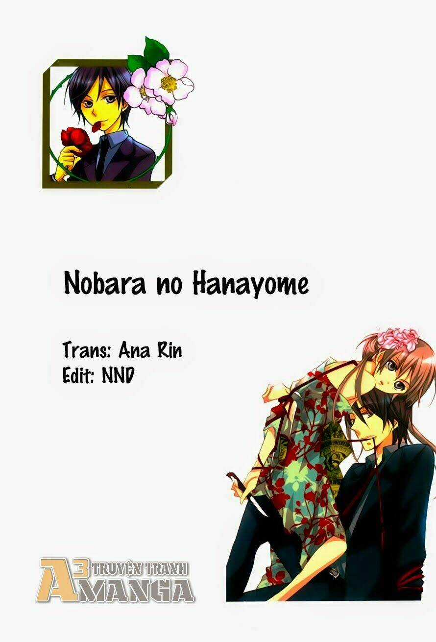 Hoa Hồng Hoang Dã - Chapter 1 - Trang 3