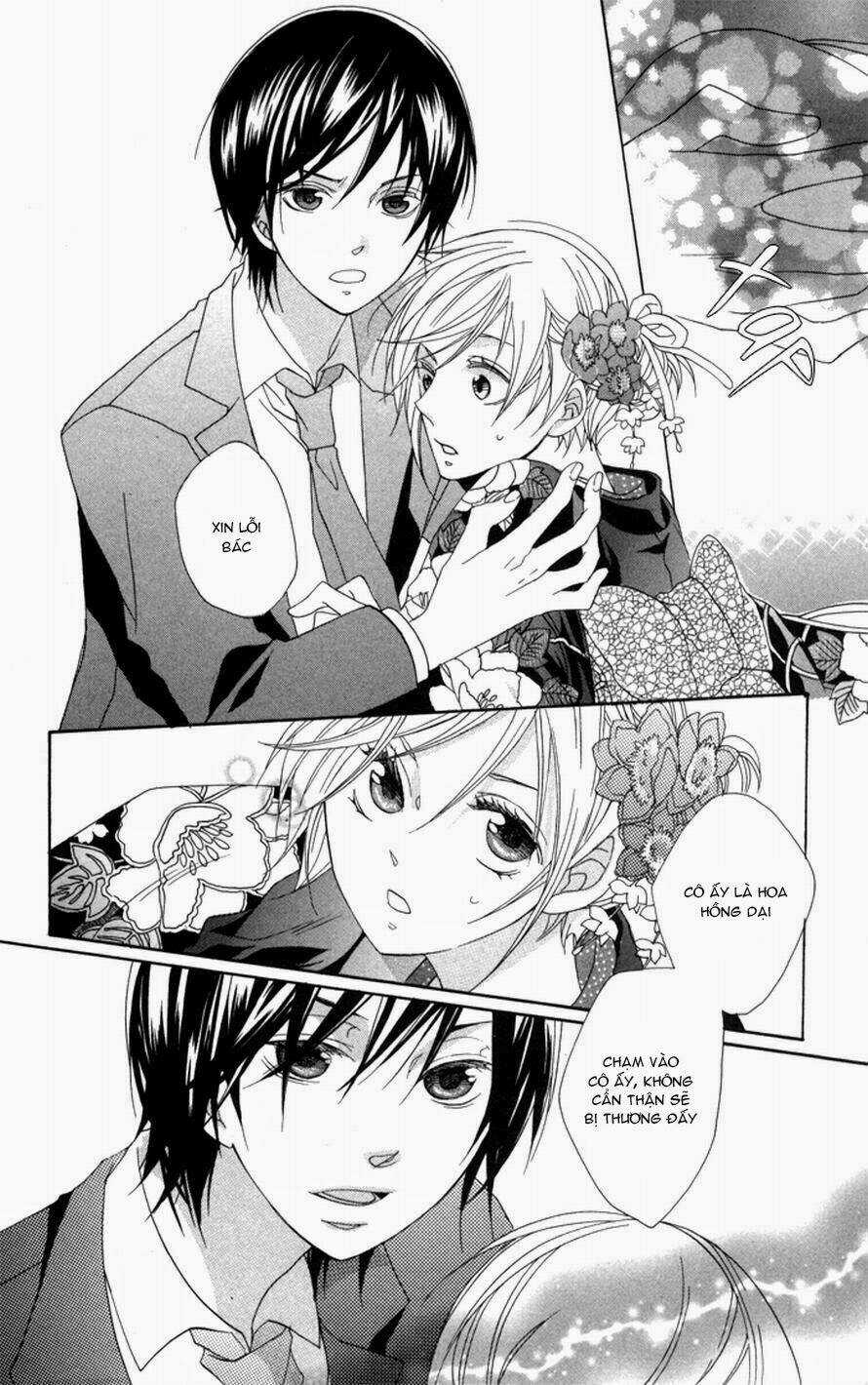 Hoa Hồng Hoang Dã - Chapter 1 - Trang 33