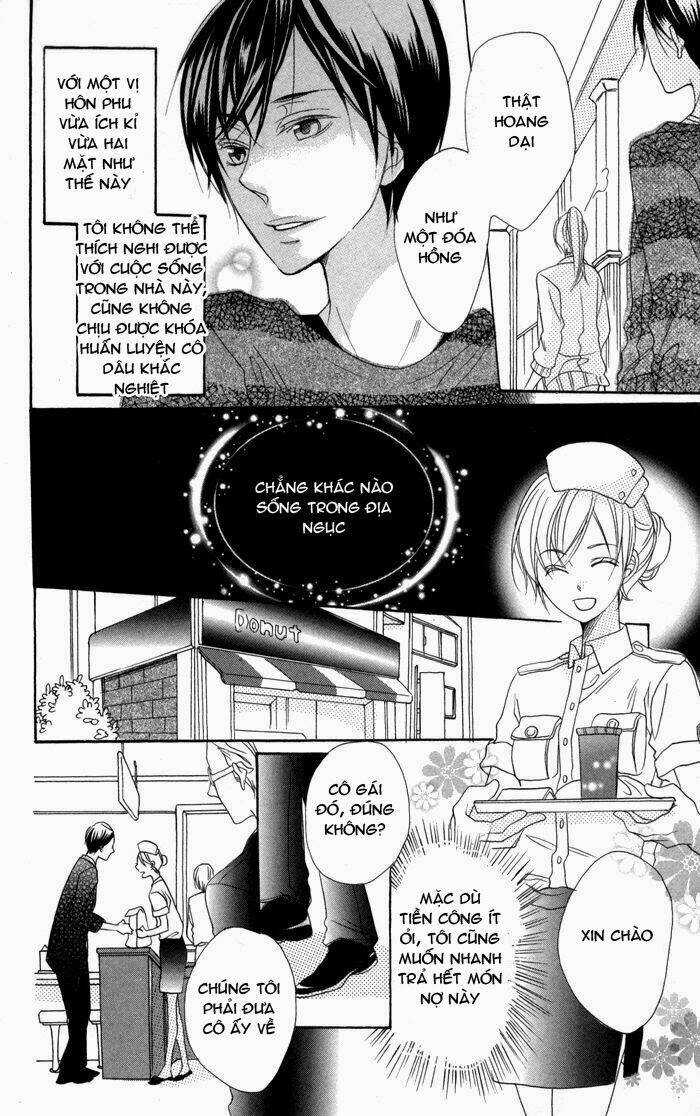 Hoa Hồng Hoang Dã - Chapter 2 - Trang 11