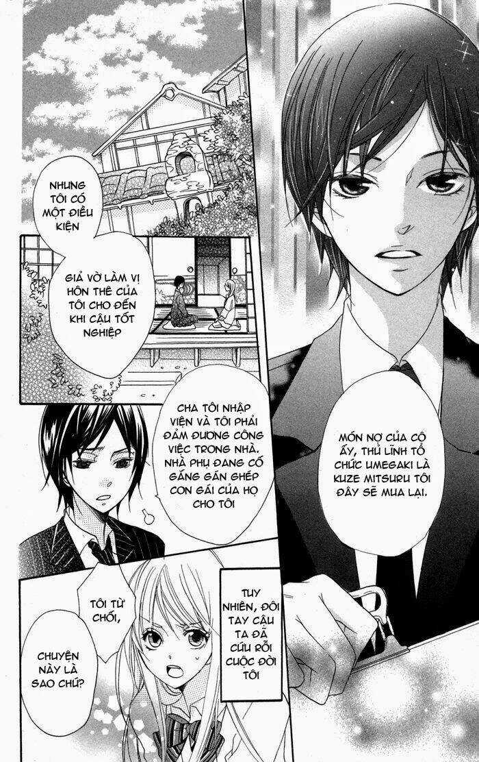 Hoa Hồng Hoang Dã - Chapter 2 - Trang 7