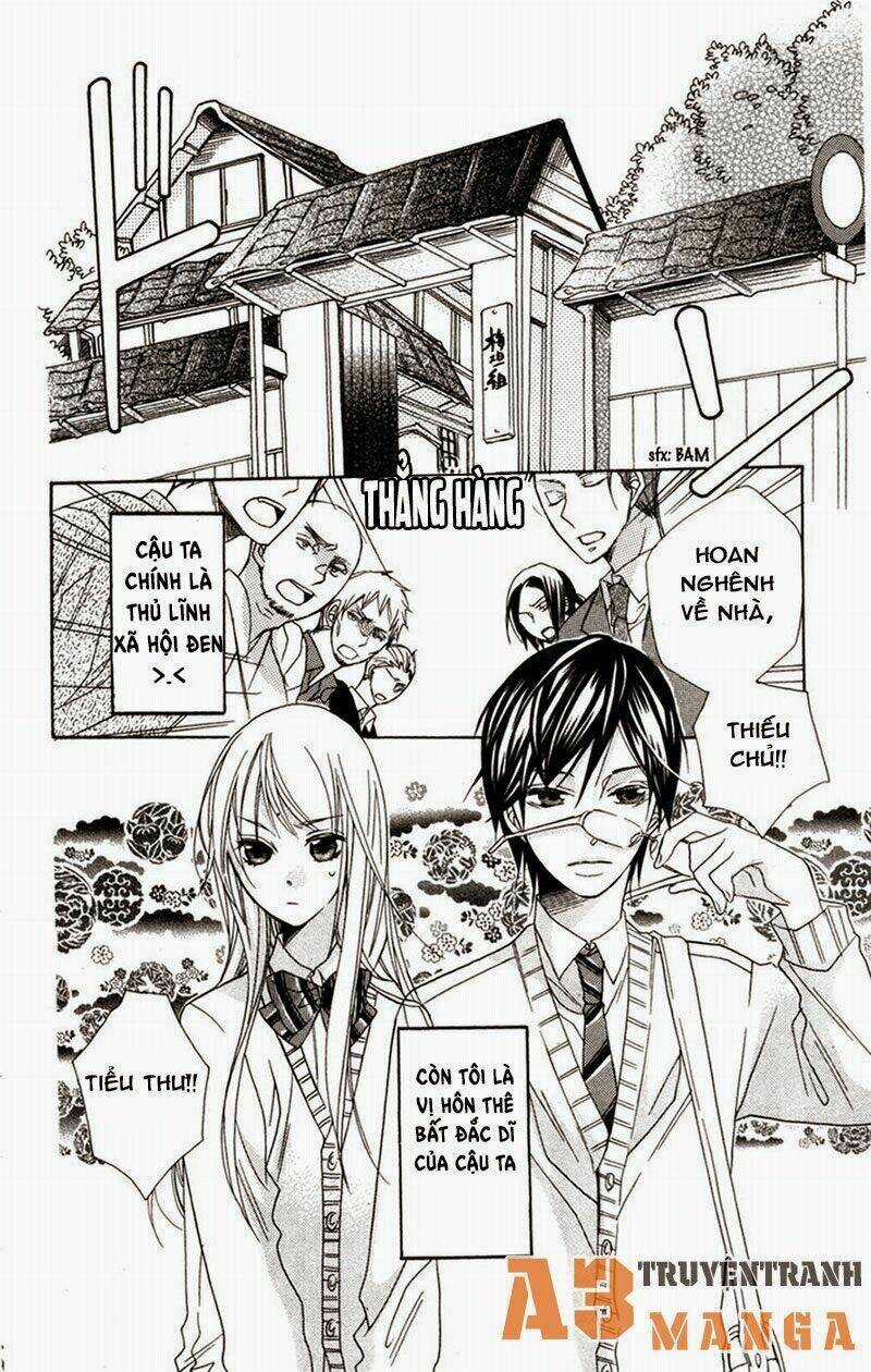 Hoa Hồng Hoang Dã - Chapter 4 - Trang 4