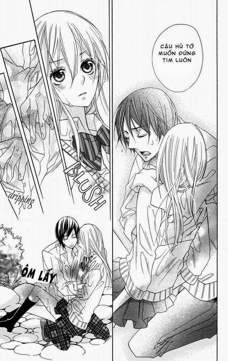 Hoa Hồng Hoang Dã - Chapter 4 - Trang 32