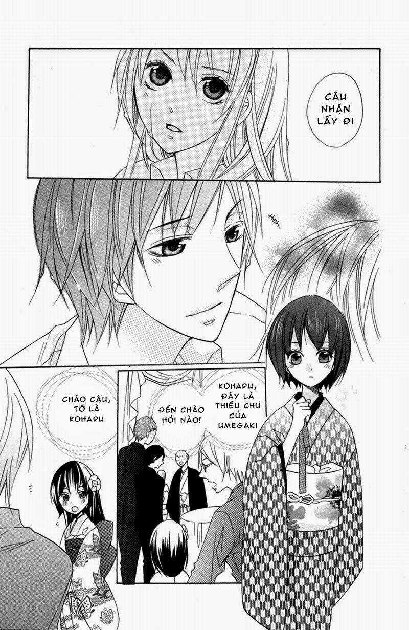 Hoa Hồng Hoang Dã - Chapter 4 - Trang 34