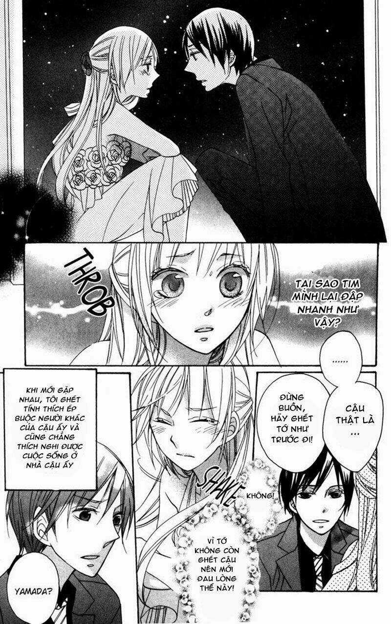 Hoa Hồng Hoang Dã - Chapter 6 - Trang 28