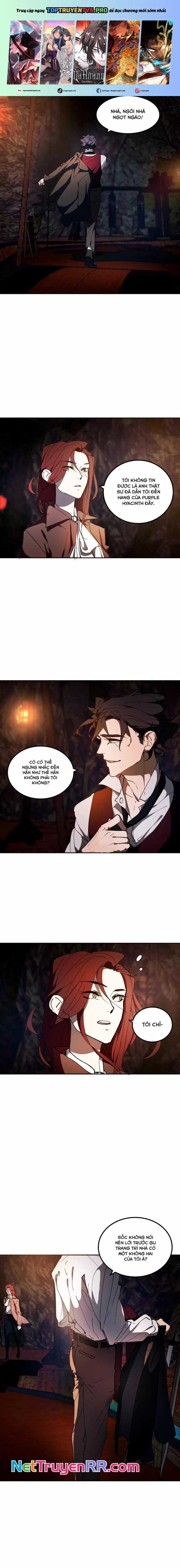 Hoa Lục Bình Tím - Chapter 11.1 - Trang 1