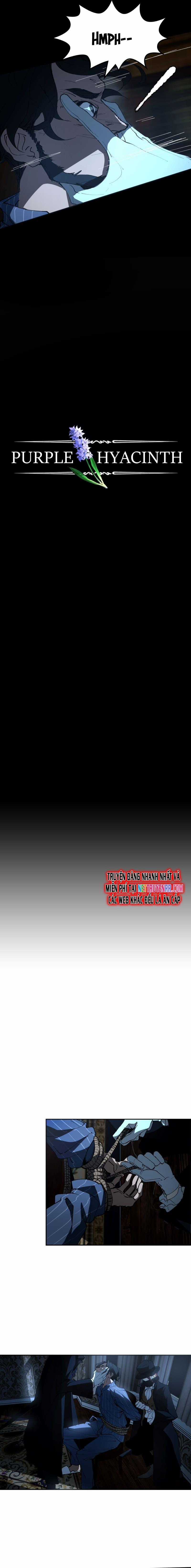 Hoa Lục Bình Tím - Chapter 15 - Trang 2