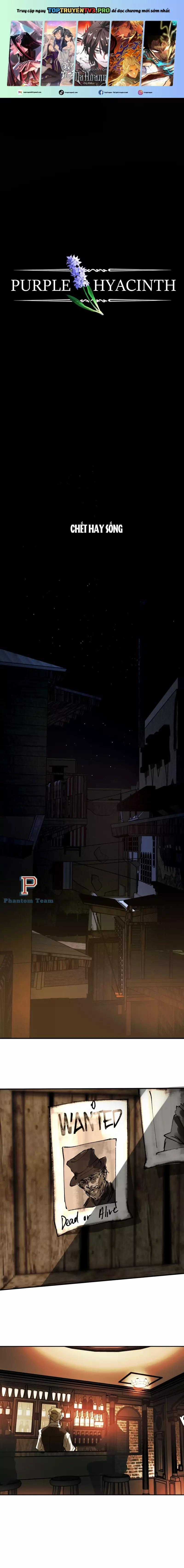 Hoa Lục Bình Tím - Chapter 5 - Trang 1