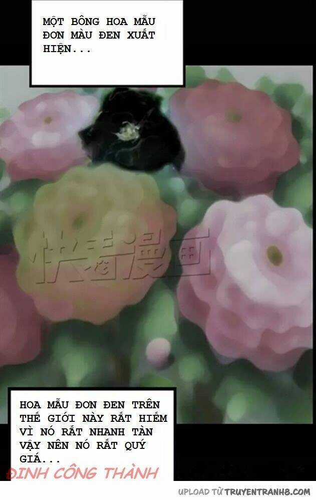 Hoa Mẫu Đơn Đen - Chapter 1 - Trang 18