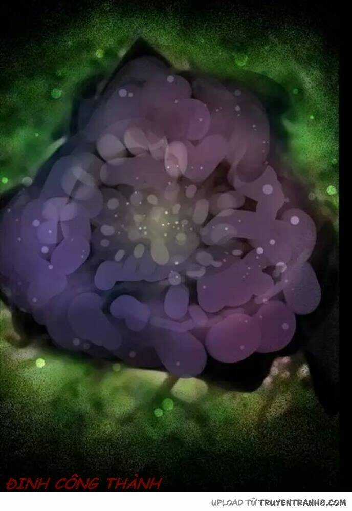 Hoa Mẫu Đơn Đen - Chapter 1 - Trang 19
