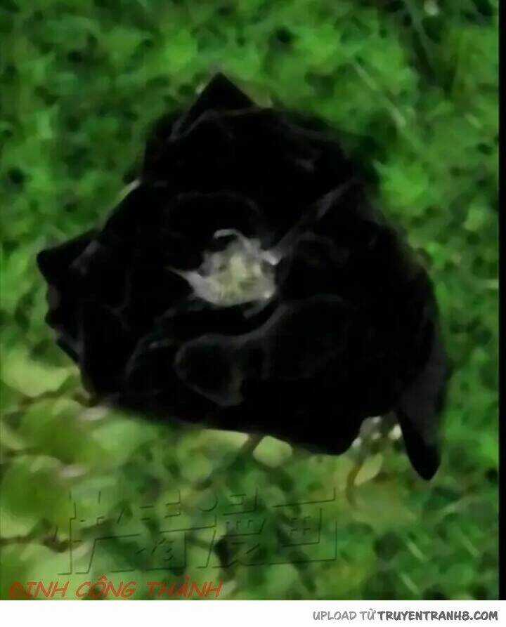 Hoa Mẫu Đơn Đen - Chapter 1 - Trang 5