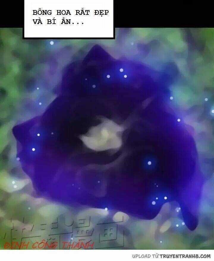 Hoa Mẫu Đơn Đen - Chapter 1 - Trang 7