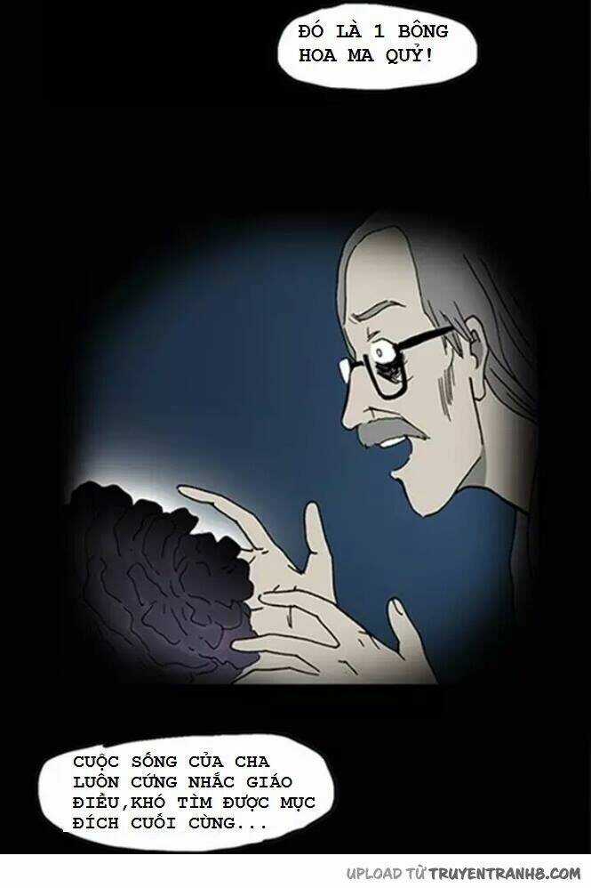 Hoa Mẫu Đơn Đen - Chapter 2 - Trang 12
