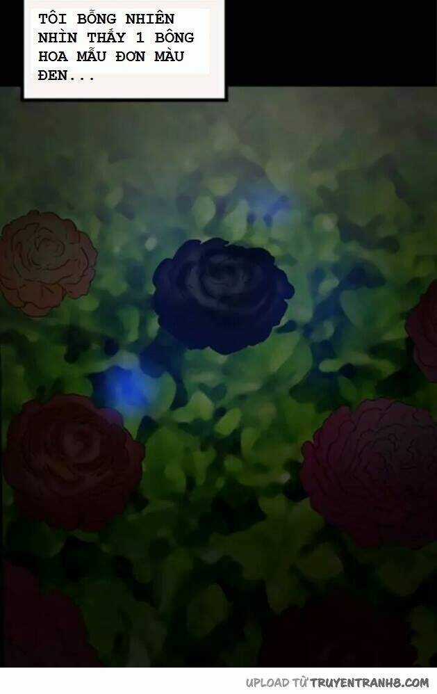 Hoa Mẫu Đơn Đen - Chapter 3 - Trang 11
