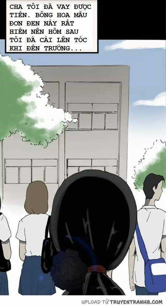 Hoa Mẫu Đơn Đen - Chapter 3 - Trang 14