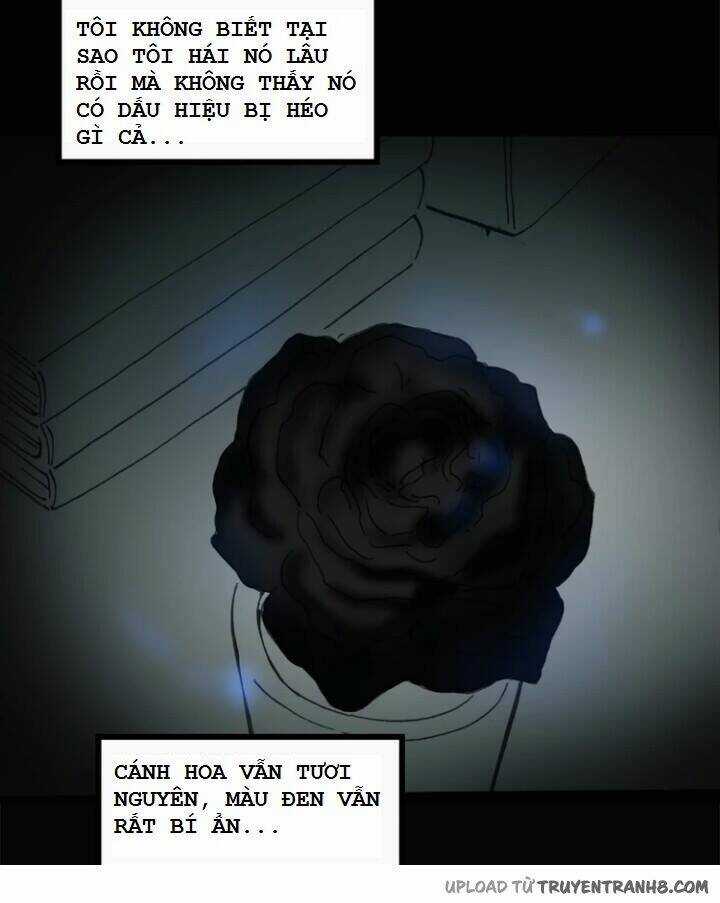 Hoa Mẫu Đơn Đen - Chapter 5 - Trang 7
