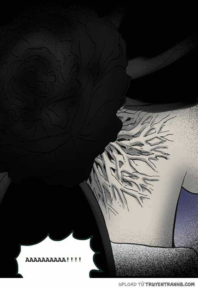 Hoa Mẫu Đơn Đen - Chapter 6 - Trang 15