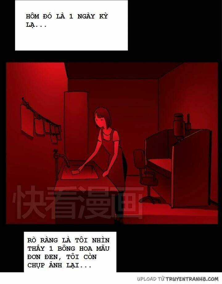 Hoa Mẫu Đơn Đen - Chapter 7 - Trang 18