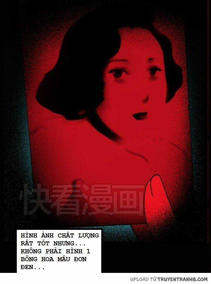 Hoa Mẫu Đơn Đen - Chapter 7 - Trang 22