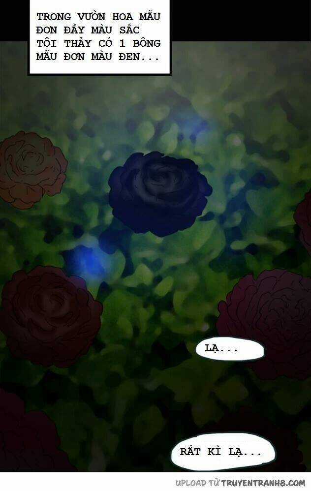 Hoa Mẫu Đơn Đen - Chapter 7 - Trang 9