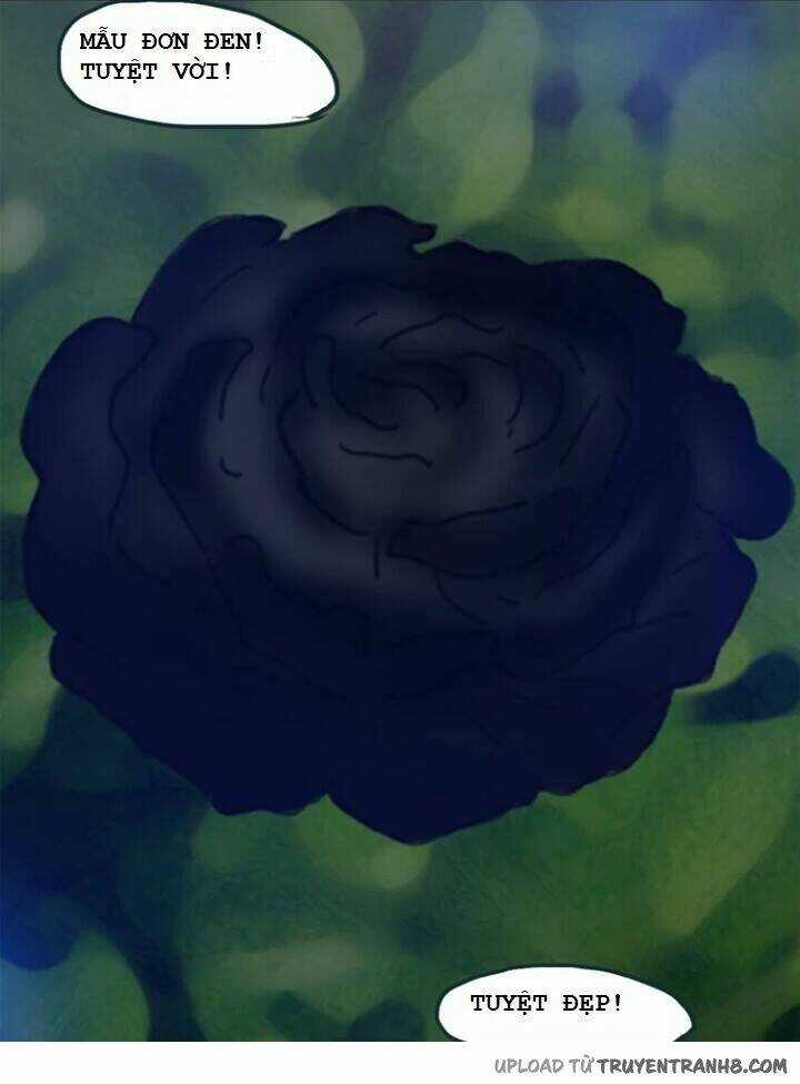 Hoa Mẫu Đơn Đen - Chapter 7 - Trang 10