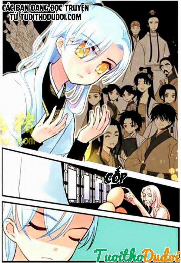 Hoa Phi Hoa - Chapter 19 - Trang 2