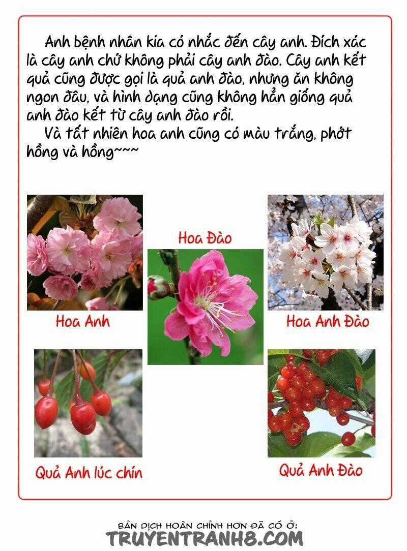 Hoa Quý - Chapter 15 - Trang 11
