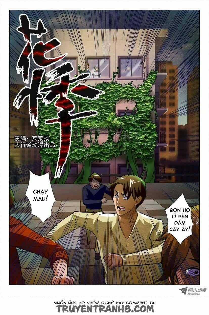 Hoa Quý - Chapter 19 - Trang 1