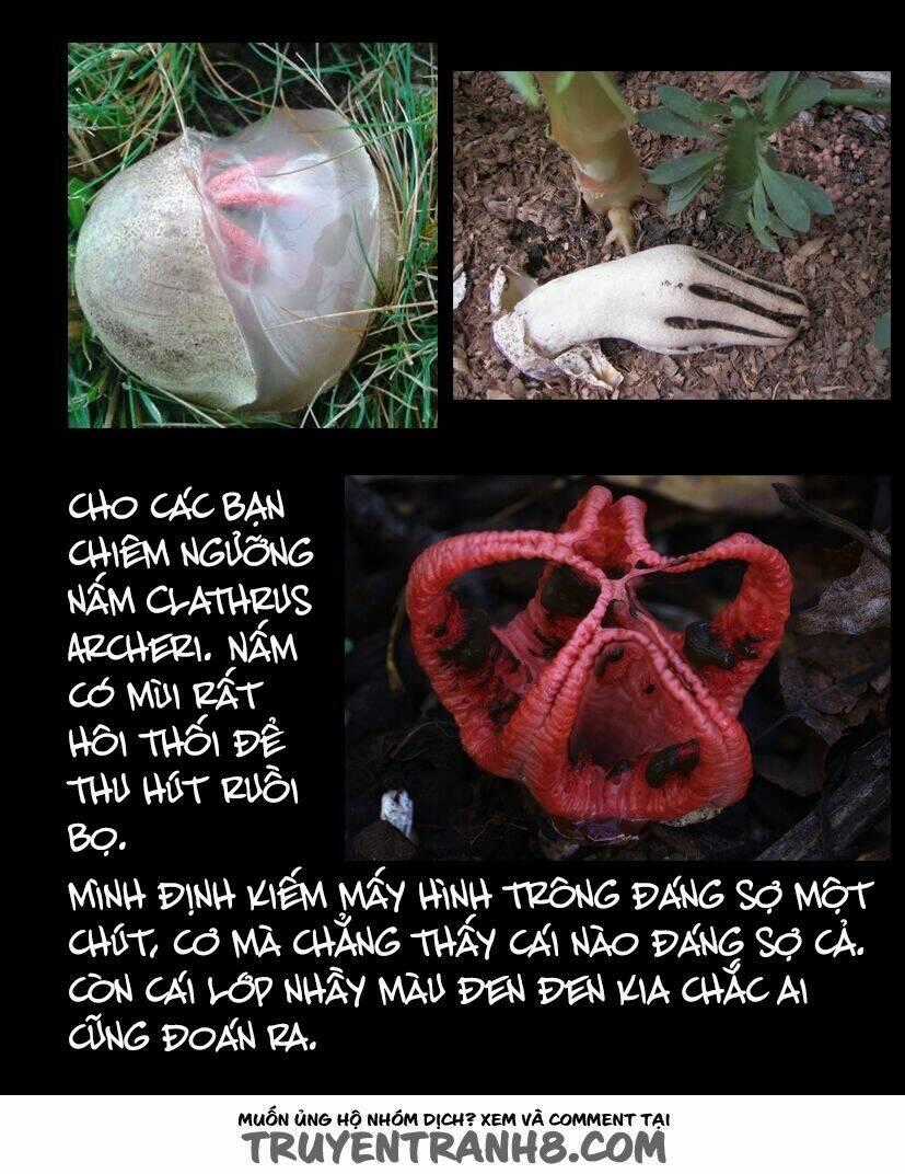 Hoa Quý - Chapter 42 - Trang 12