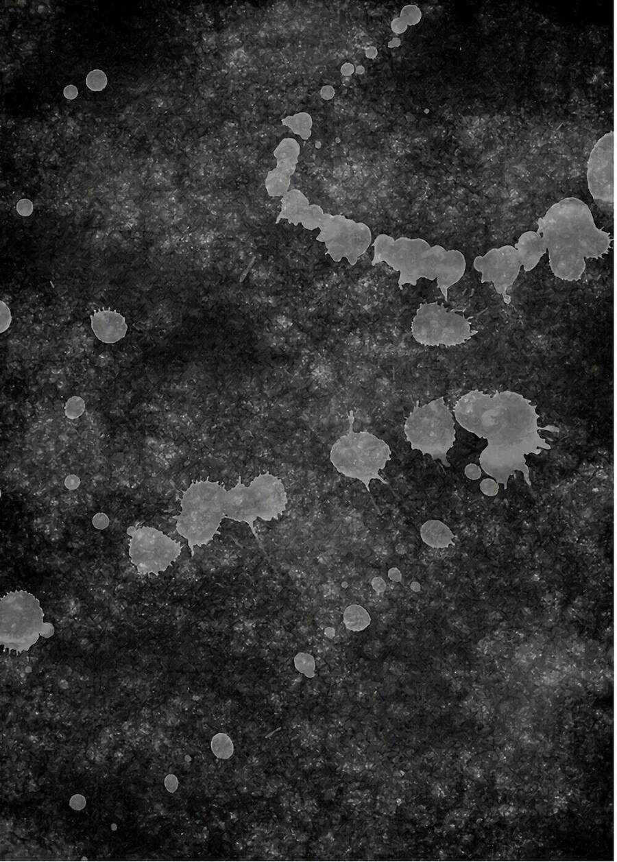 họa sĩ sát nhân - Chapter 60 - Trang 23