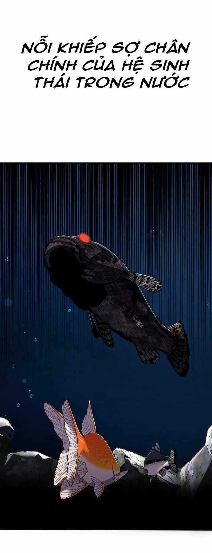 Hoá Thân Thành Cá - Chapter 10 - Trang 13