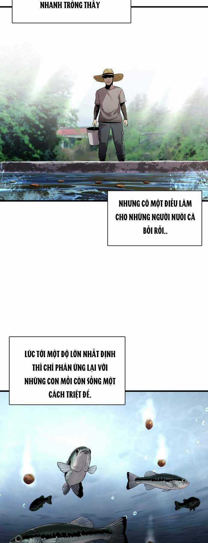 Hoá Thân Thành Cá - Chapter 11 - Trang 6