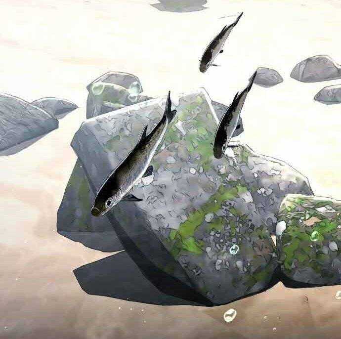 Hoá Thân Thành Cá - Chapter 15 - Trang 58