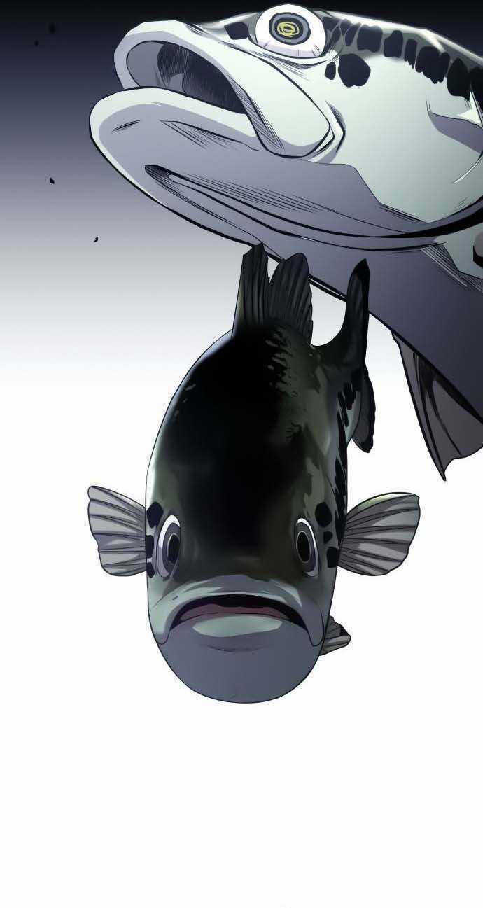 Hoá Thân Thành Cá - Chapter 21 - Trang 16