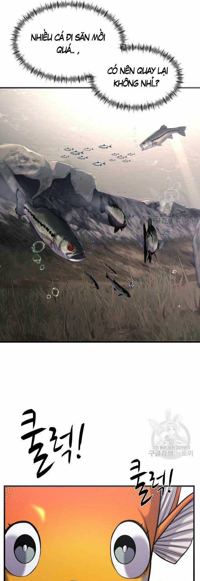 Hoá Thân Thành Cá - Chapter 23 - Trang 13