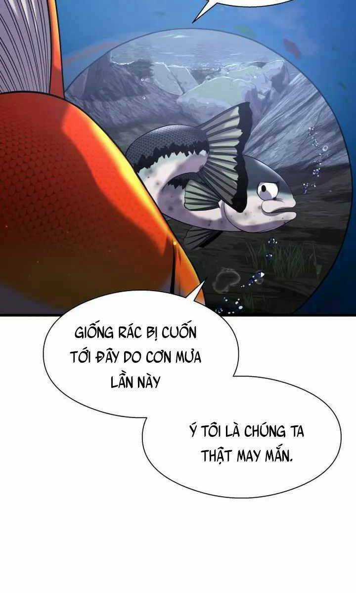 Hoá Thân Thành Cá - Chapter 24 - Trang 24