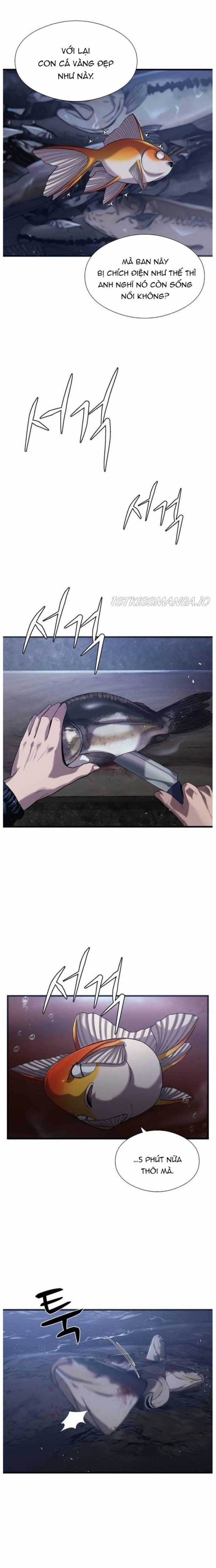 Hoá Thân Thành Cá - Chapter 25 - Trang 13