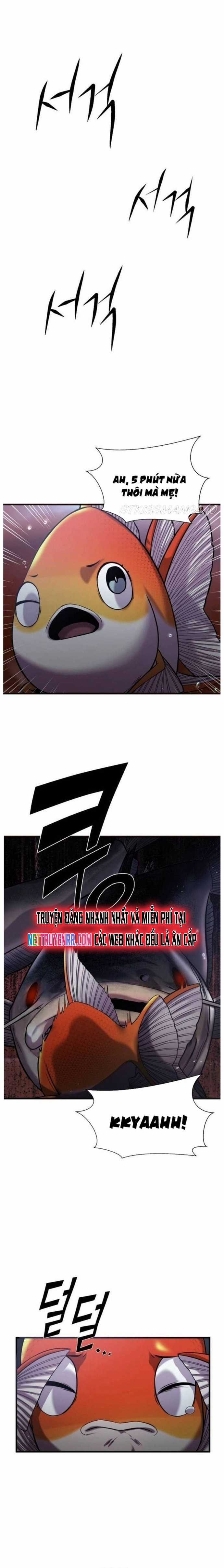 Hoá Thân Thành Cá - Chapter 25 - Trang 14