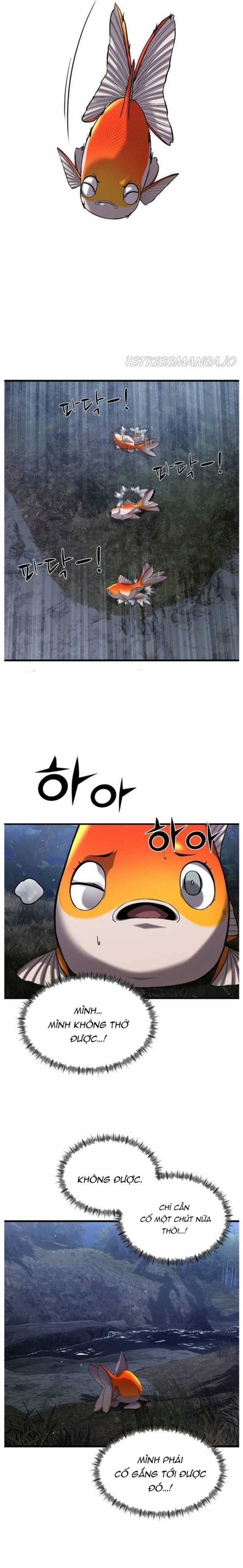 Hoá Thân Thành Cá - Chapter 25 - Trang 19