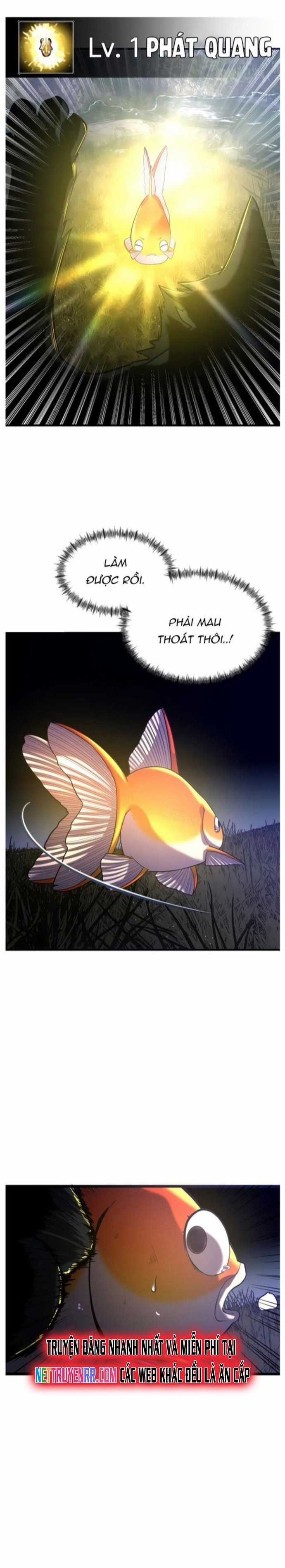 Hoá Thân Thành Cá - Chapter 26 - Trang 12