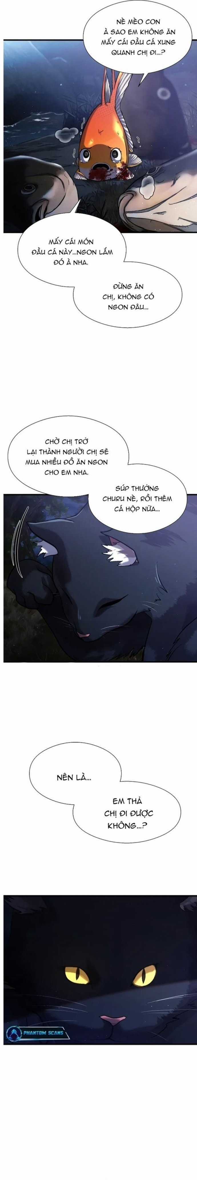 Hoá Thân Thành Cá - Chapter 26 - Trang 20