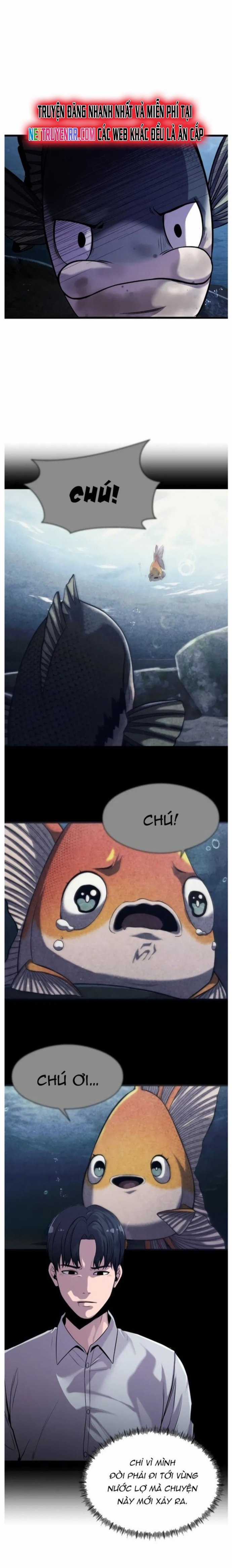 Hoá Thân Thành Cá - Chapter 26 - Trang 8