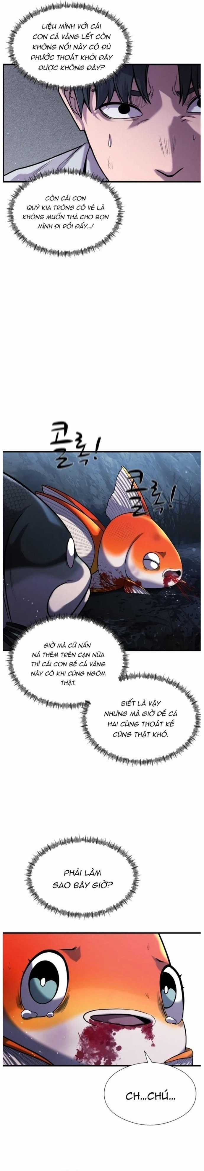 Hoá Thân Thành Cá - Chapter 27 - Trang 3