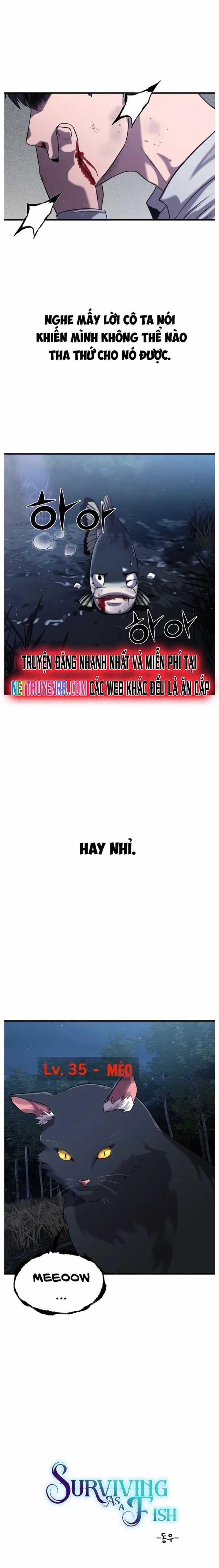 Hoá Thân Thành Cá - Chapter 27 - Trang 6