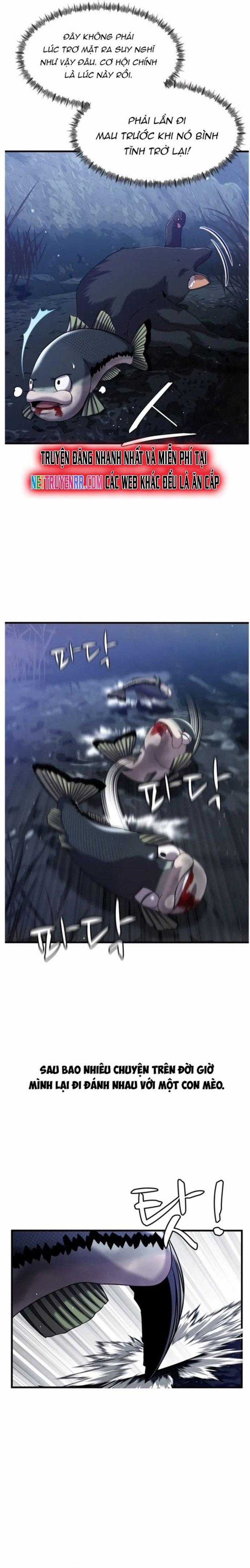 Hoá Thân Thành Cá - Chapter 28 - Trang 2