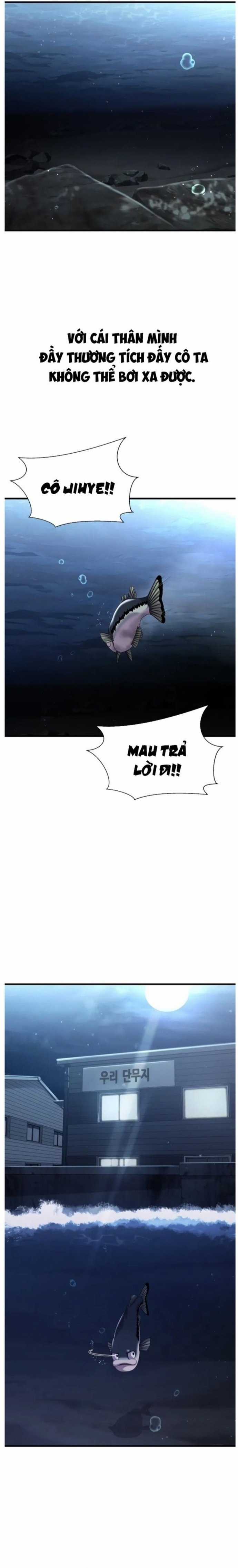 Hoá Thân Thành Cá - Chapter 28 - Trang 17