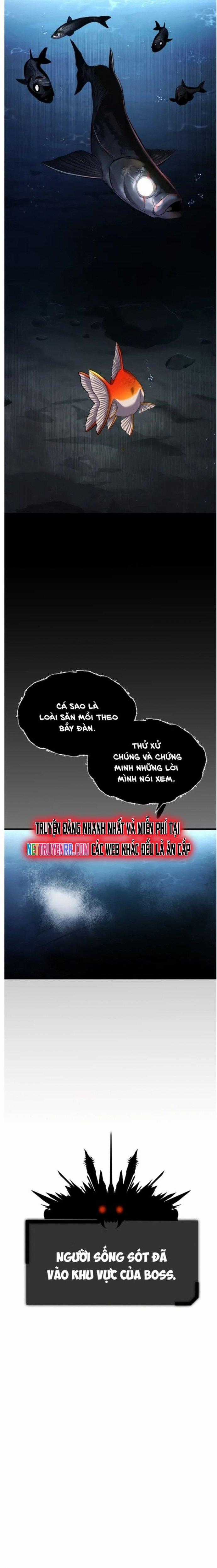 Hoá Thân Thành Cá - Chapter 28 - Trang 24