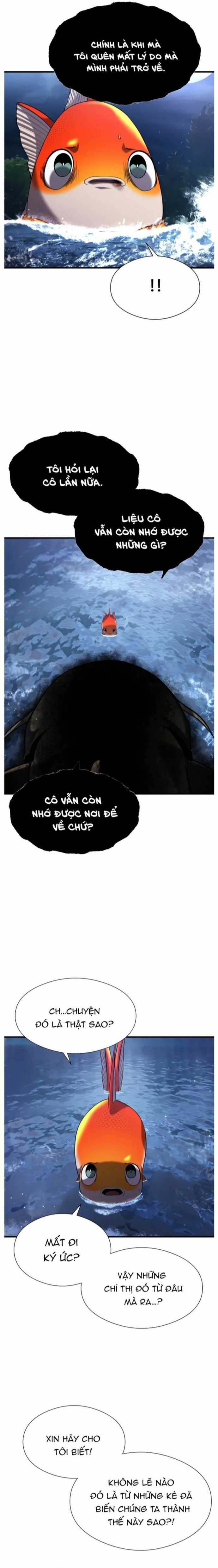 Hoá Thân Thành Cá - Chapter 28 - Trang 8