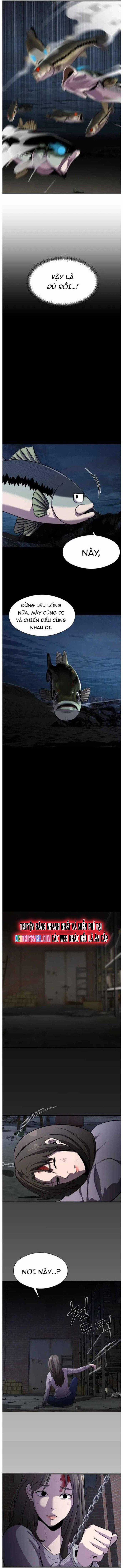 Hoá Thân Thành Cá - Chapter 29 - Trang 28