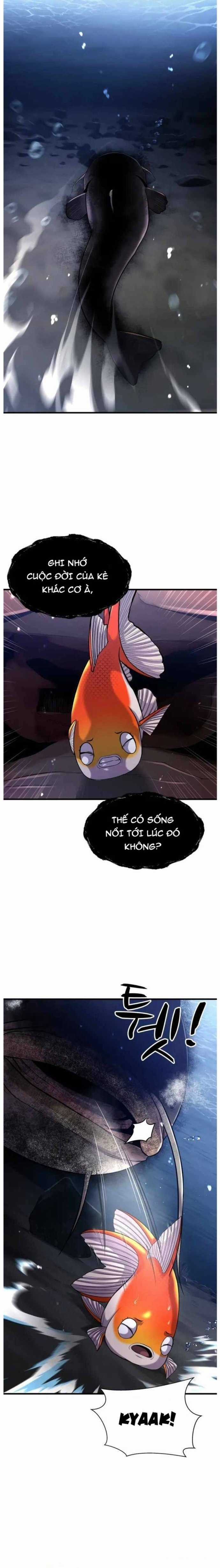 Hoá Thân Thành Cá - Chapter 29 - Trang 4