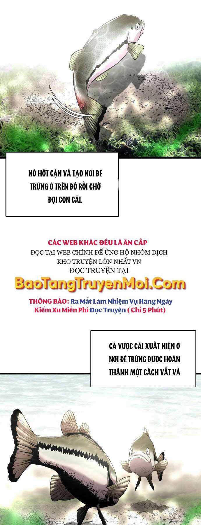 Hoá Thân Thành Cá - Chapter 3 - Trang 22